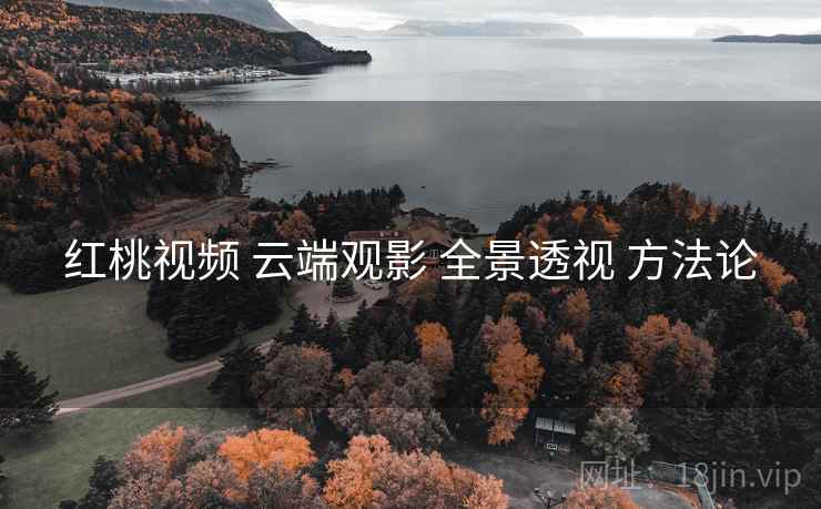 红桃视频 云端观影 全景透视 方法论  第2张
