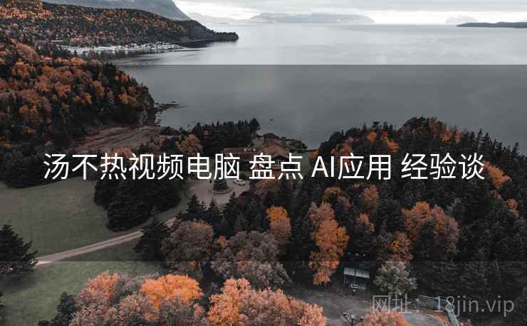 汤不热视频电脑 盘点 AI应用 经验谈  第2张