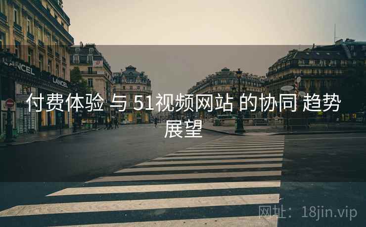 付费体验 与 51视频网站 的协同 趋势展望  第2张