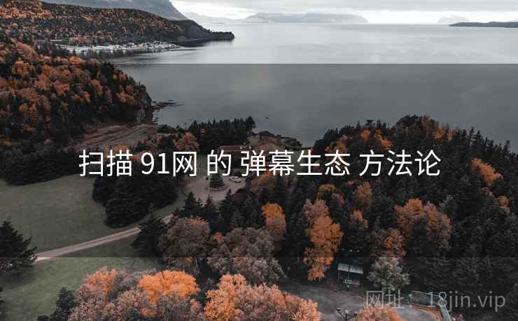 扫描 91网 的 弹幕生态 方法论  第1张