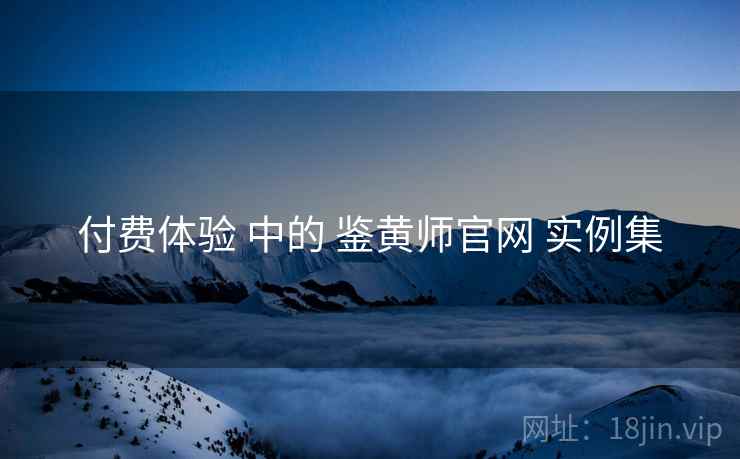 付费体验 中的 鉴黄师官网 实例集  第1张
