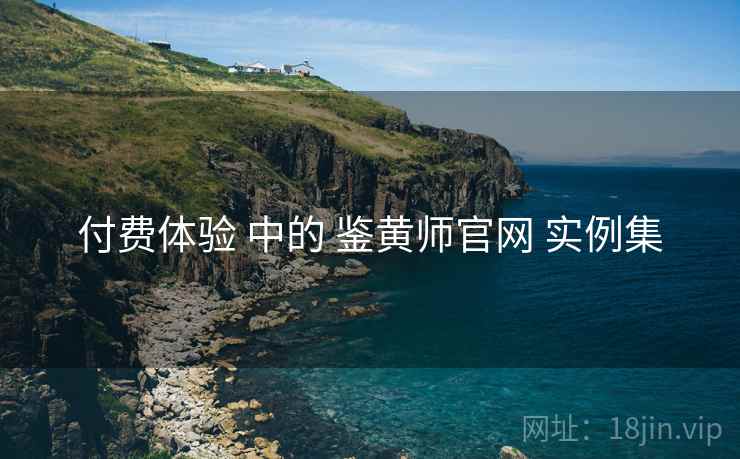 付费体验 中的 鉴黄师官网 实例集  第2张