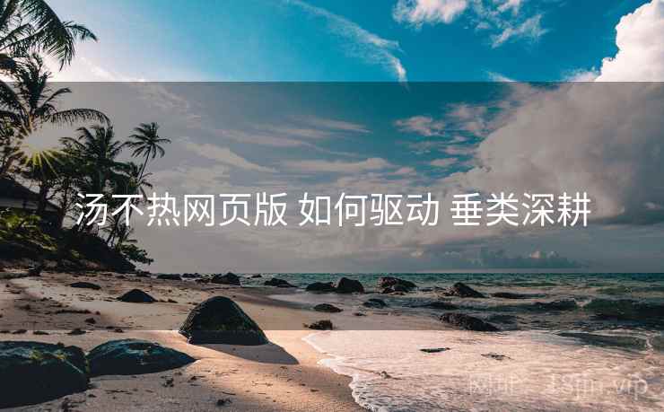 汤不热网页版 如何驱动 垂类深耕  第1张
