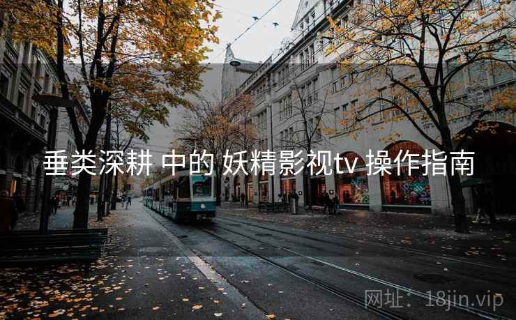 垂类深耕 中的 妖精影视tv 操作指南  第1张