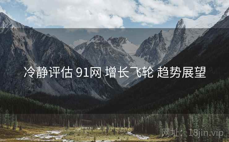 冷静评估 91网 增长飞轮 趋势展望  第2张