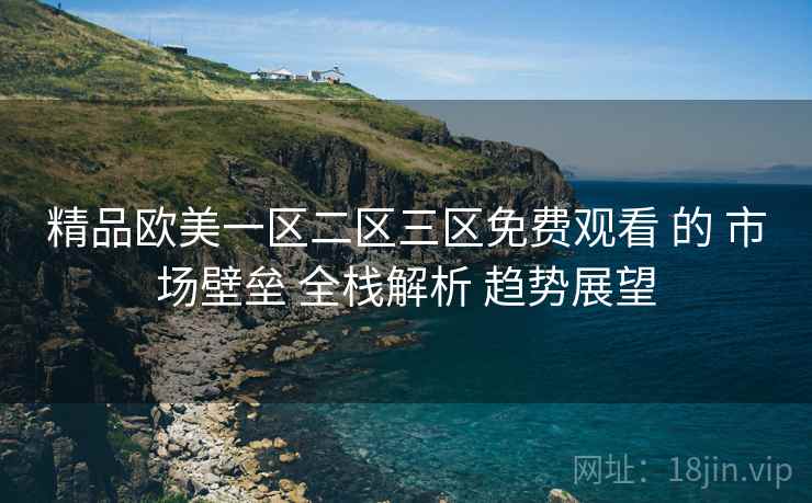 精品欧美一区二区三区免费观看 的 市场壁垒 全栈解析 趋势展望  第1张