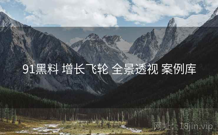 91黑料 增长飞轮 全景透视 案例库  第2张