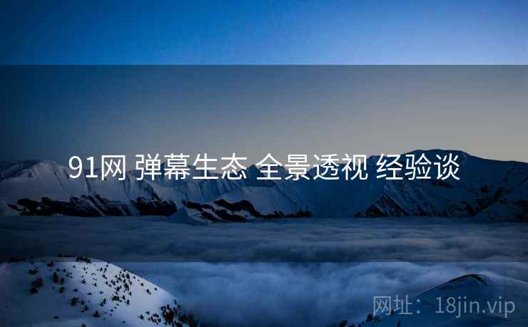 91网 弹幕生态 全景透视 经验谈  第1张
