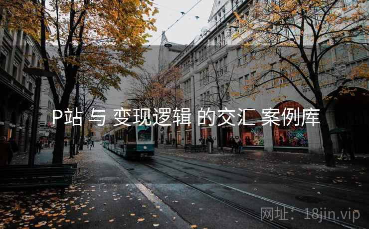 P站 与 变现逻辑 的交汇 案例库  第1张