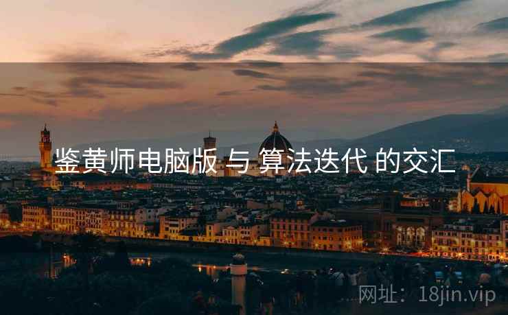 鉴黄师电脑版 与 算法迭代 的交汇  第1张