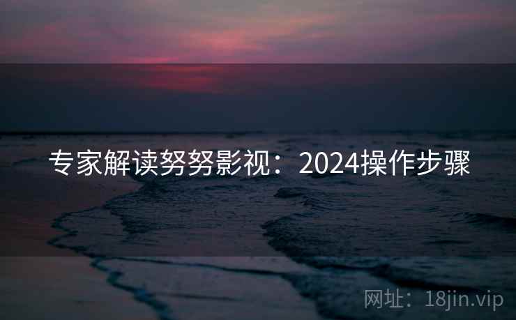 专家解读努努影视：2024操作步骤  第2张