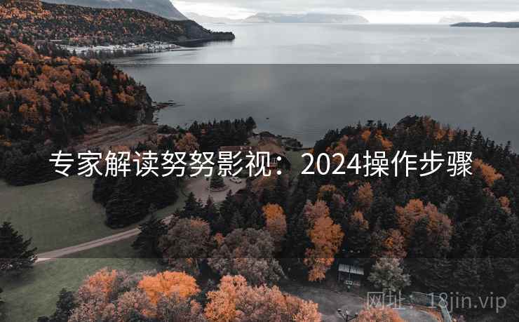 专家解读努努影视：2024操作步骤  第1张