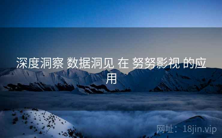 深度洞察 数据洞见 在 努努影视 的应用  第2张