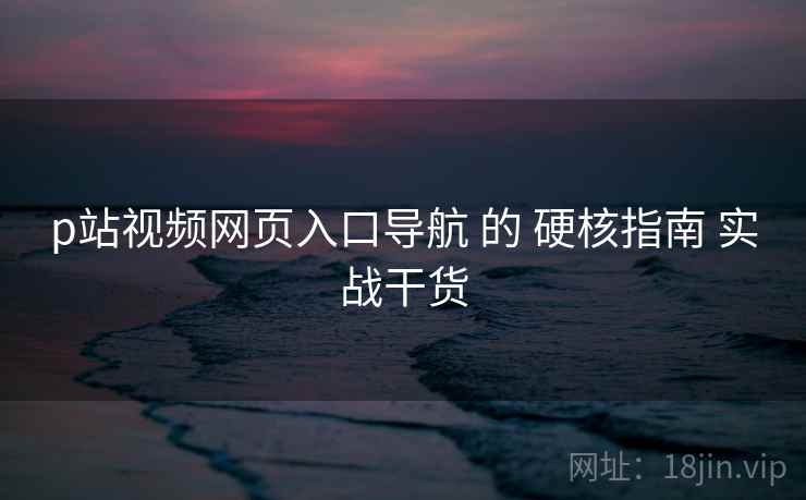 p站视频网页入口导航 的 硬核指南 实战干货  第2张