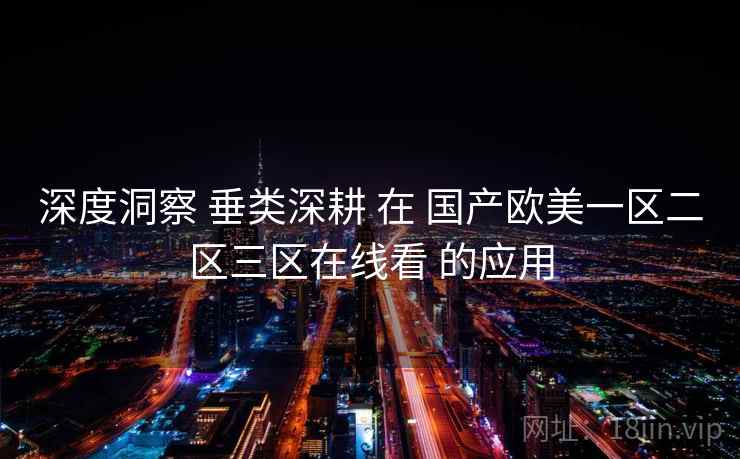 深度洞察 垂类深耕 在 国产欧美一区二区三区在线看 的应用  第1张