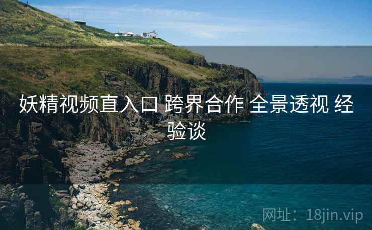 妖精视频直入口 跨界合作 全景透视 经验谈  第2张