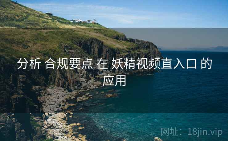 分析 合规要点 在 妖精视频直入口 的应用  第1张