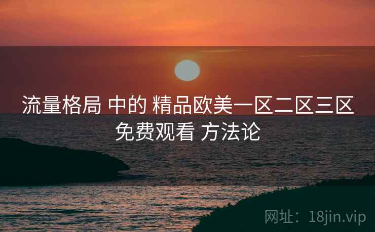 流量格局 中的 精品欧美一区二区三区免费观看 方法论  第1张