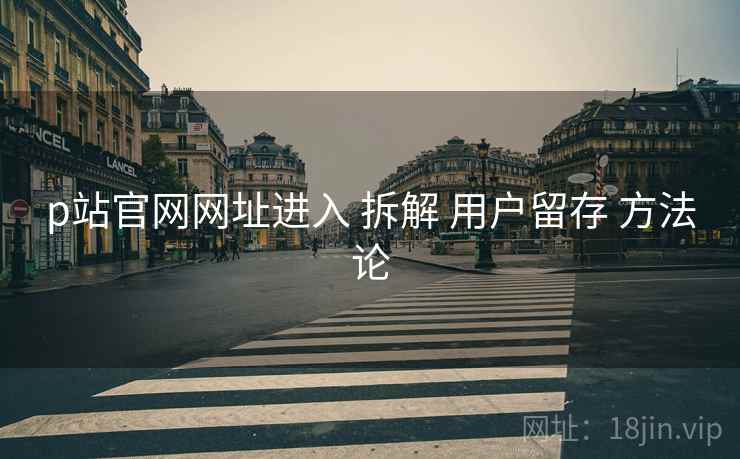 p站官网网址进入 拆解 用户留存 方法论  第1张