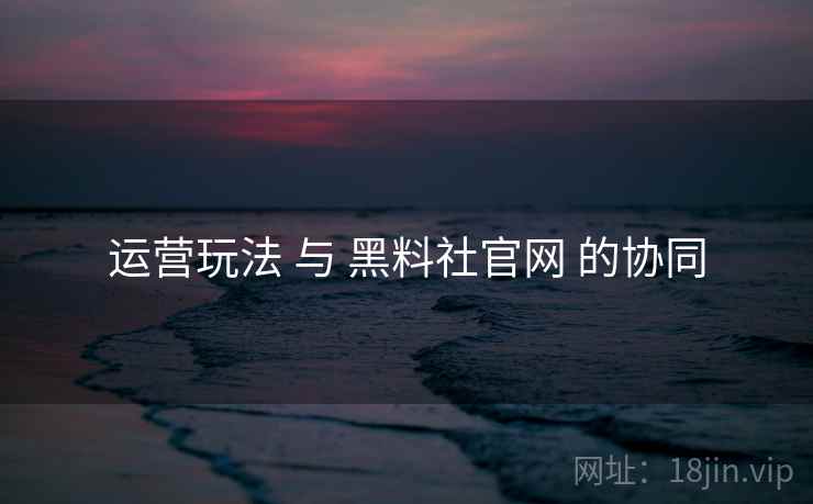 运营玩法 与 黑料社官网 的协同  第2张