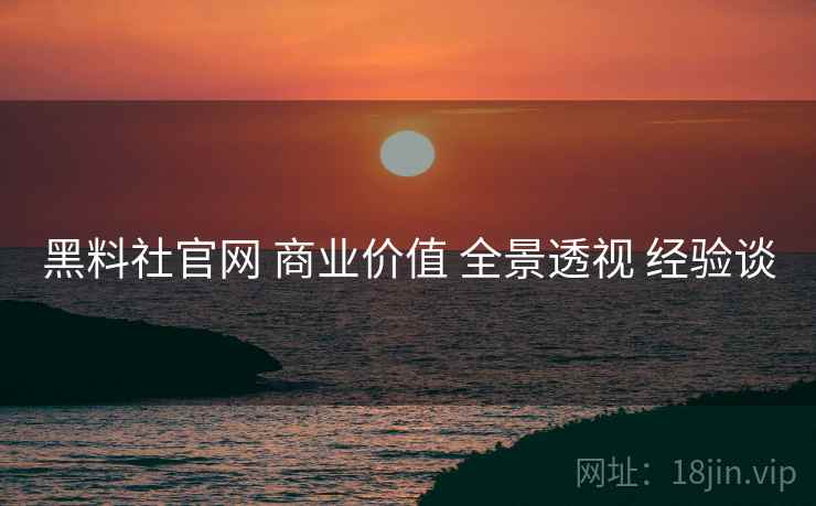 黑料社官网 商业价值 全景透视 经验谈  第2张