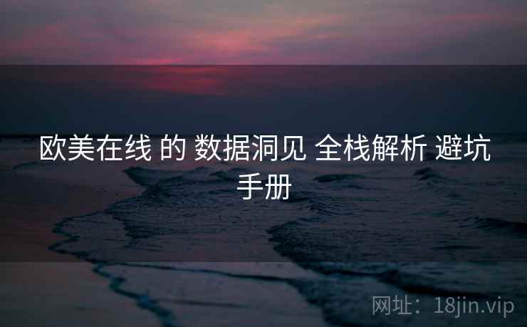 欧美在线 的 数据洞见 全栈解析 避坑手册  第1张