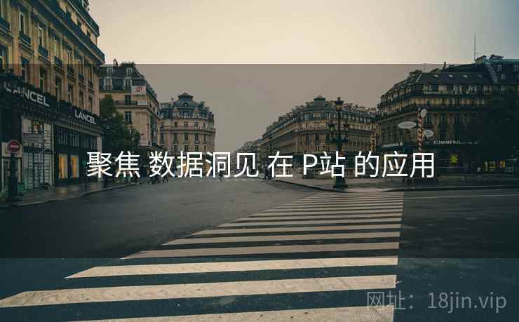 聚焦 数据洞见 在 P站 的应用  第1张