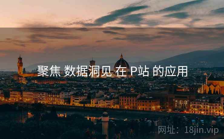 聚焦 数据洞见 在 P站 的应用  第2张