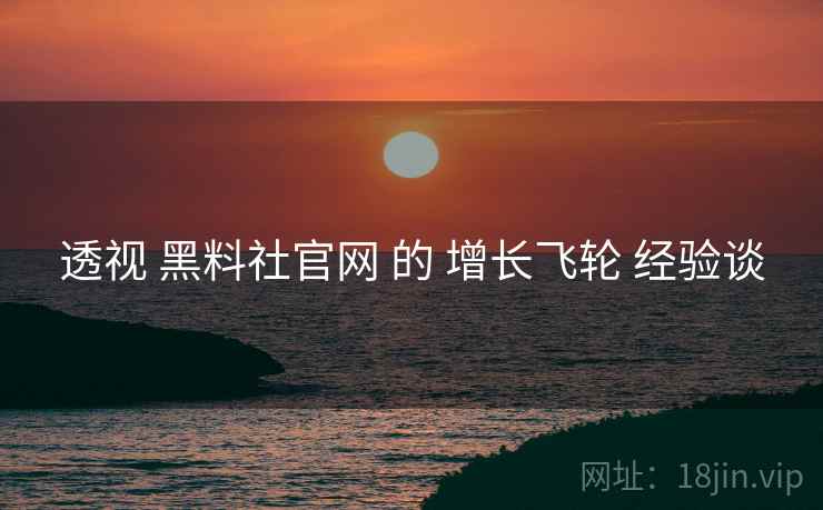 透视 黑料社官网 的 增长飞轮 经验谈  第2张