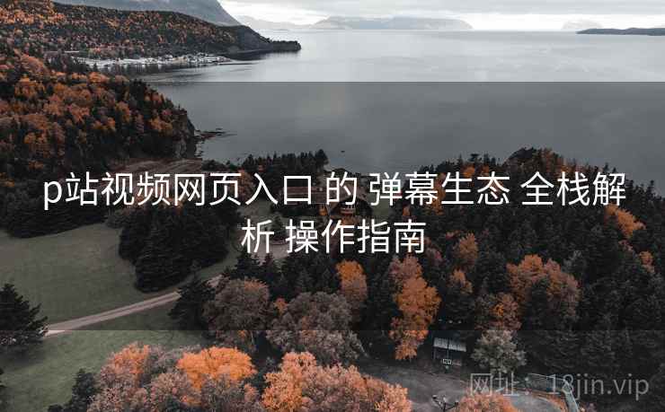 p站视频网页入口 的 弹幕生态 全栈解析 操作指南  第2张